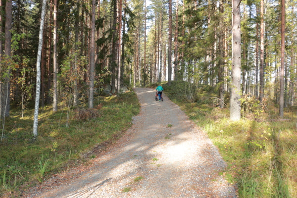 Metsän läpi kulkee leveä soratie, tiellä kulkee ihminen rollattorin kanssa mäkeä ylös.